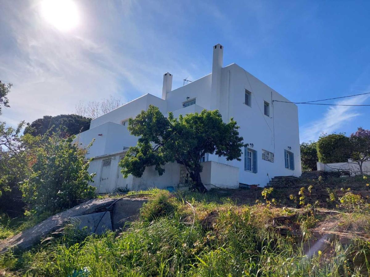 Palaiokrassa Sunny Appartment Mesaria  外观 照片